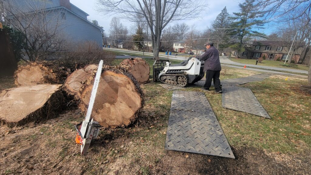 Skid-steer in action