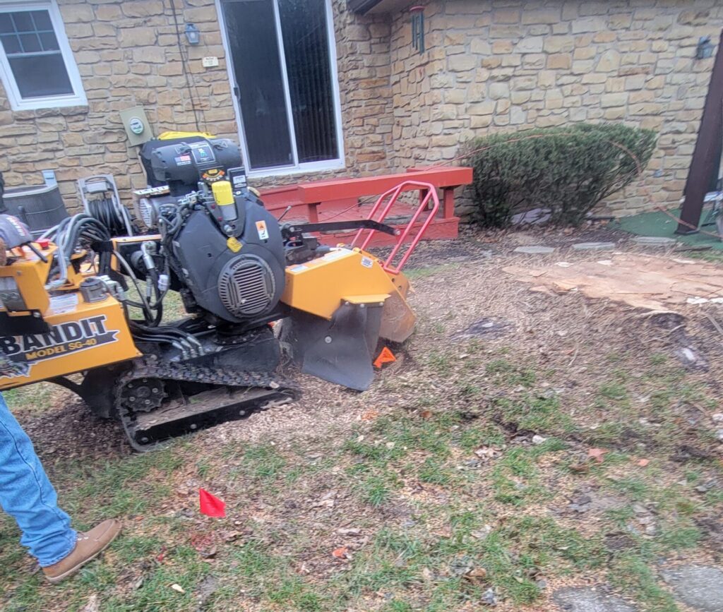 Grinding the stump away