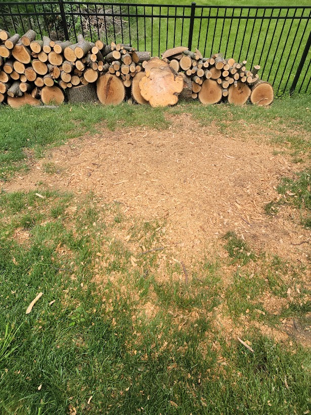 After Stump Grinding - Indianapolis